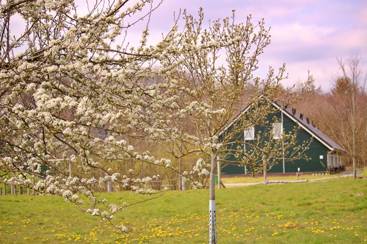 Horsetellerie Rheezerveen Hardenberg Bagian luar foto