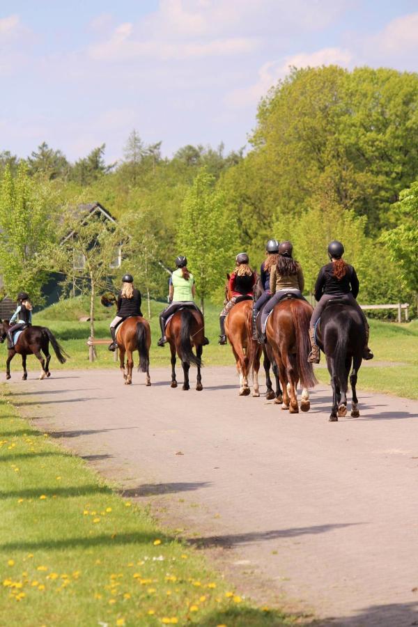 Horsetellerie Rheezerveen Hardenberg Bagian luar foto
