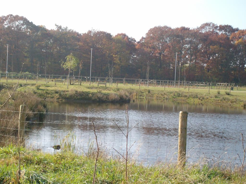 Horsetellerie Rheezerveen Hardenberg Bagian luar foto