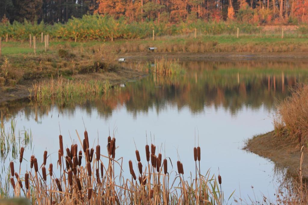 Horsetellerie Rheezerveen Hardenberg Ruang foto
